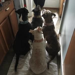 Meet your Posher, Jillian